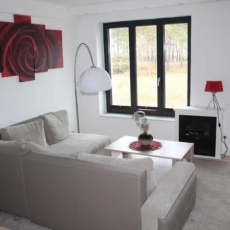 Strandresidenz Zwergmowe A09 Apartament