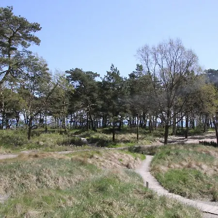 Strandresidenz Zwergmowe A09 Binz